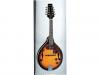 více - ARIA AM-200E mandolína