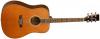 více - Tanglewood TW28 CSN